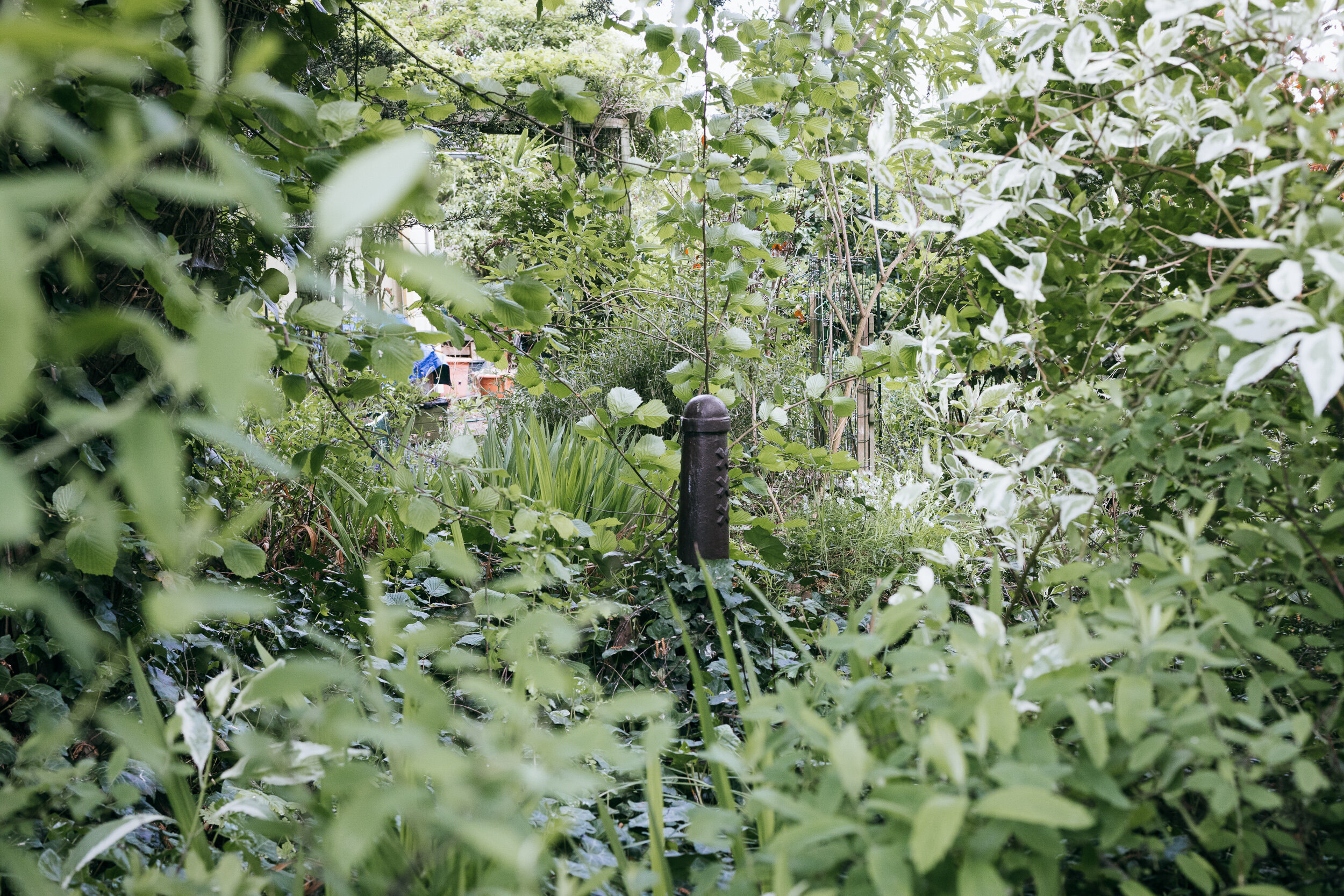 Een Plek Onder de Zon